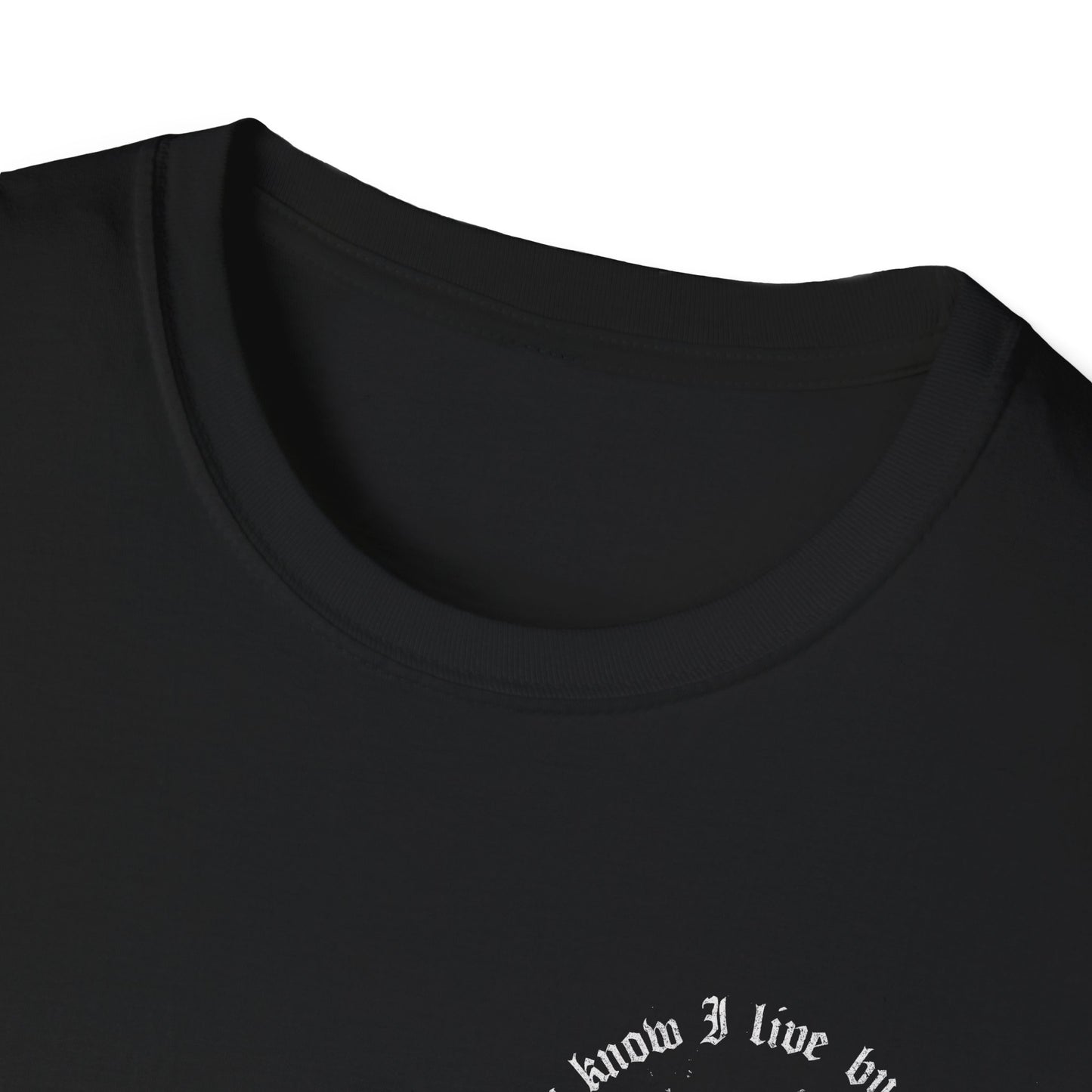 Sleep Token Look to Windward Unisex Softstyle T-Shirt Merch